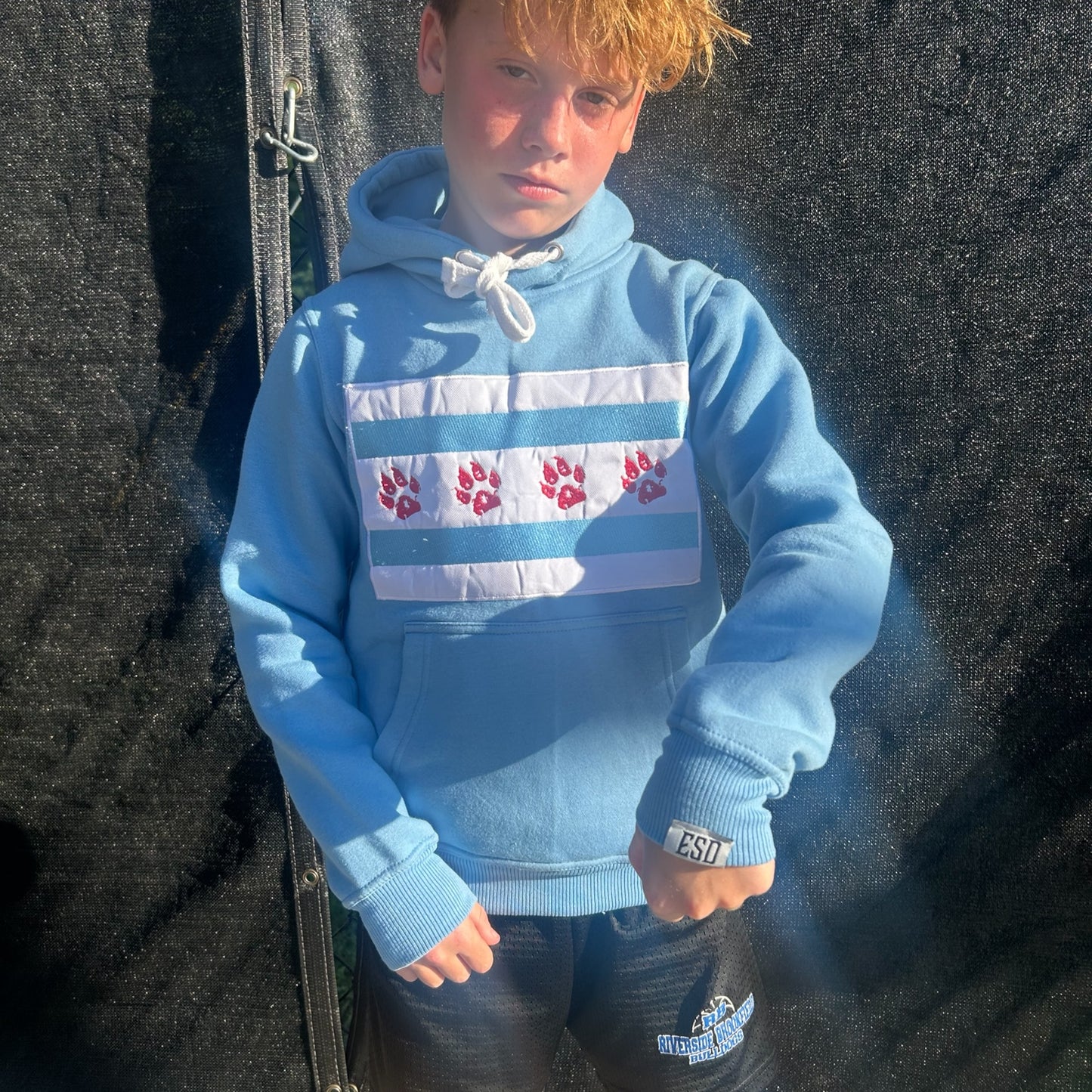 Pre-Order The Chicago Dog Flag Hoodie