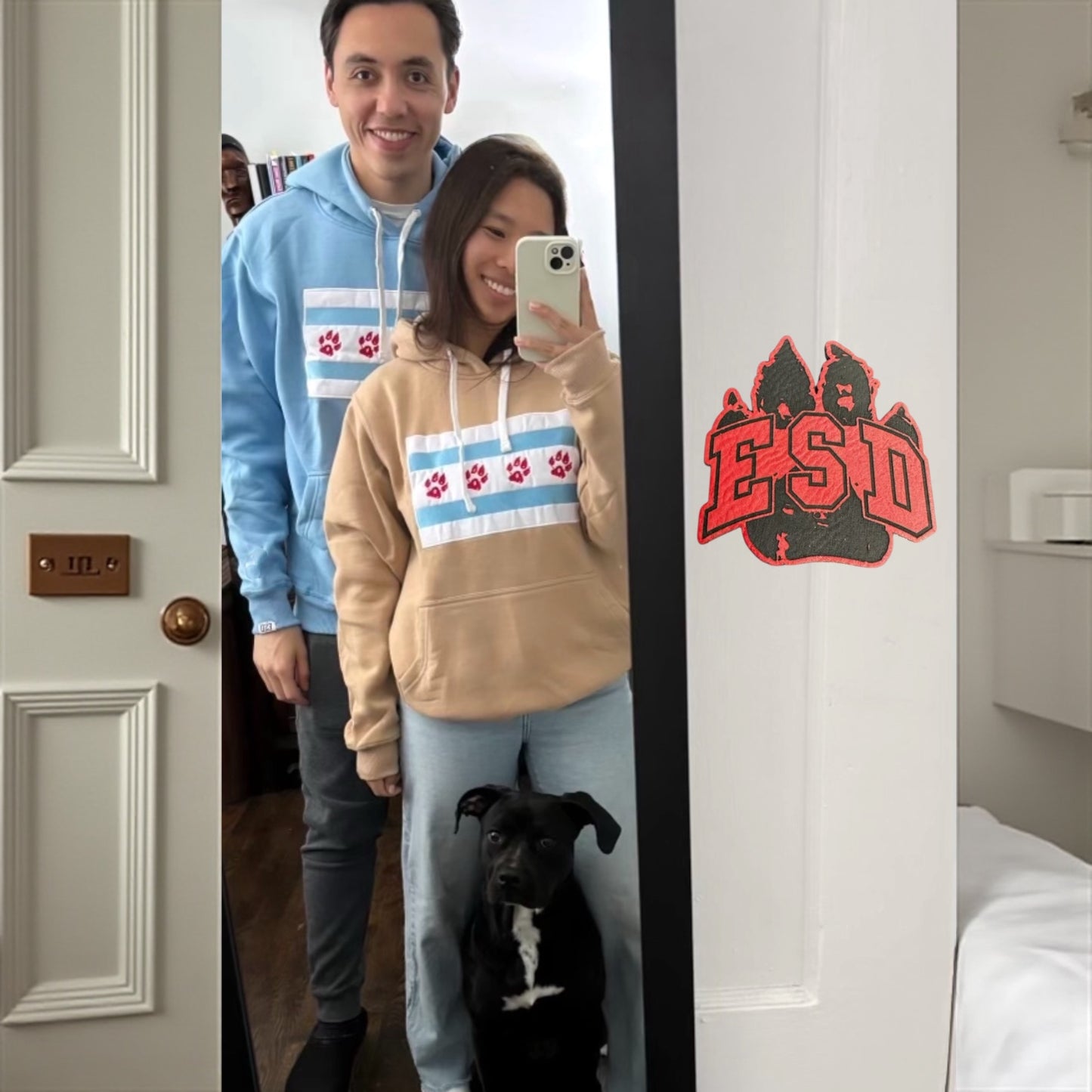 Pre-Order The Chicago Dog Flag Hoodie